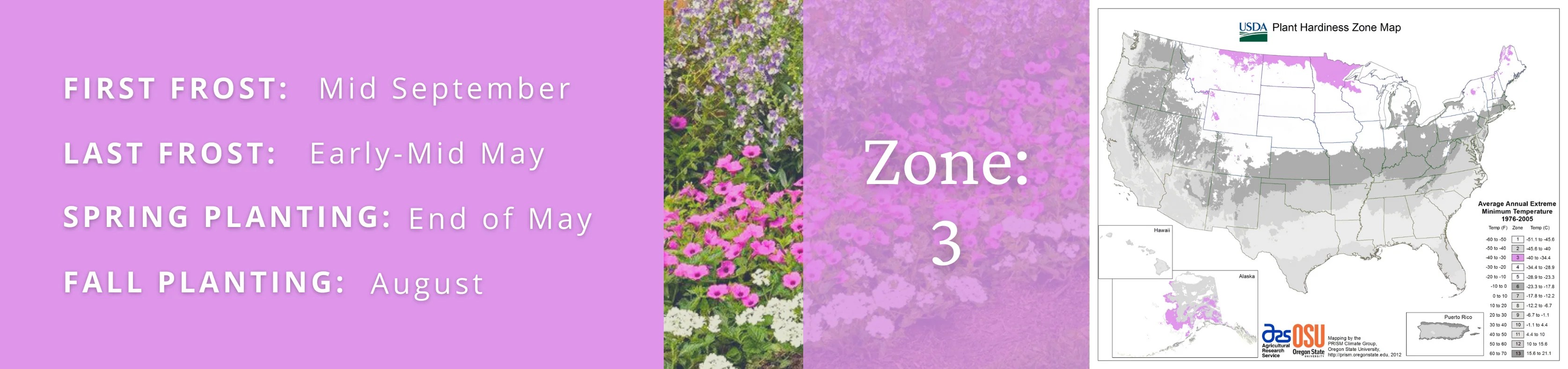 Best Garden Plants For Zone 3 Proven Winners Direct Proven Winners
