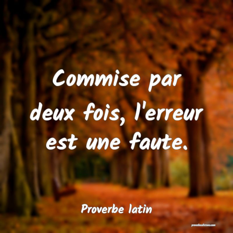 Commise par deux fois, l'erreur est une faute....