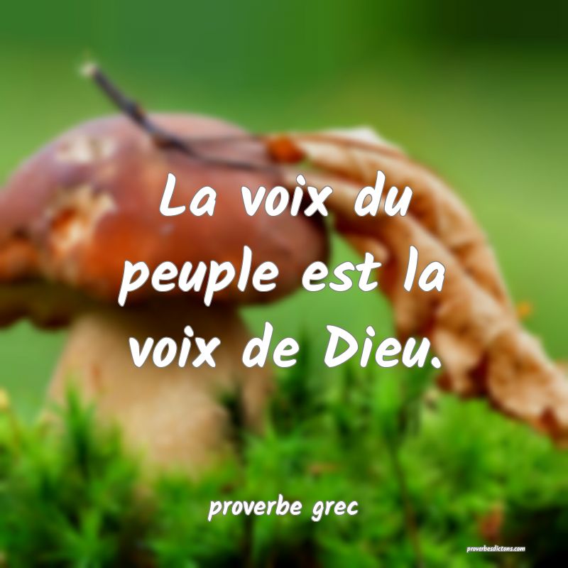 La voix du peuple est la voix de Dieu....