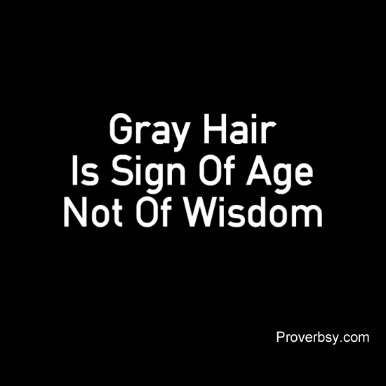 Gray Hair Is Sign Of Age, Not Of Wisdom ProverbsyProverbsy