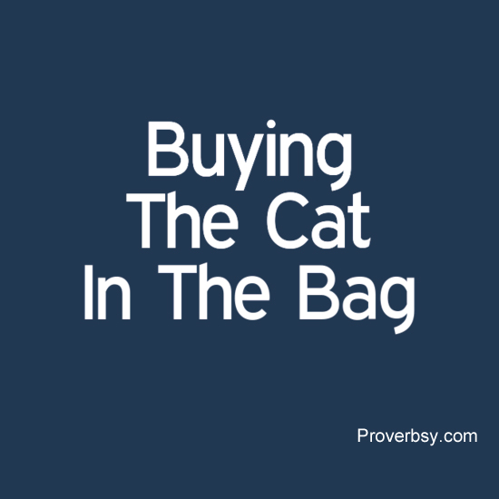 Buying The Cat In The Bag Proverbsy