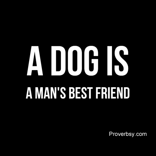 A Dog Is A Man’s Best Friend Proverbsy