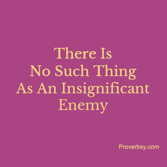 There Is No Such Thing As An Insignificant Enemy Proverbsy