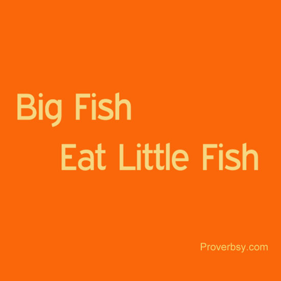 Big Fish Eat Little Fish Proverbsy