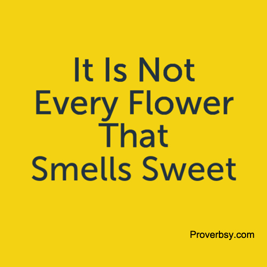 It Is Not Every Flower That Smells Proverbsy