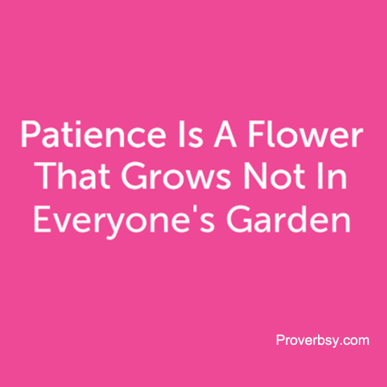 Patience Is A Flower That Grows Proverbsy