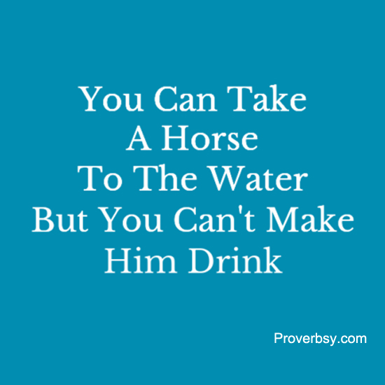 You Can Take A Horse To The Water Proverbsy