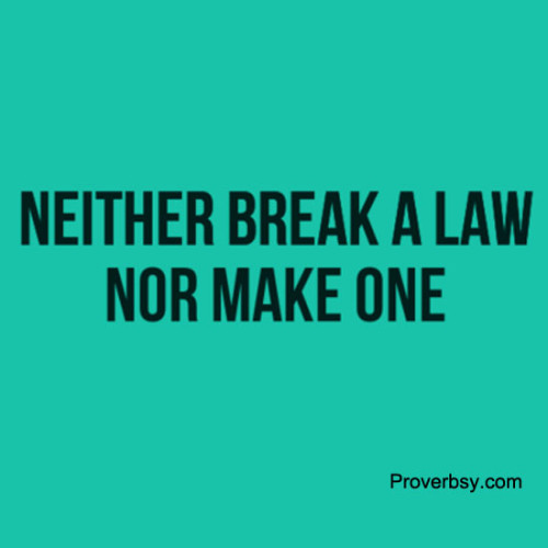 Law Archives Proverbsy