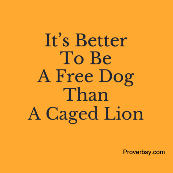 It’s Better To Be A Free Dog Proverbsy