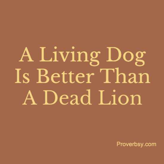 A Living Dog Is Better Proverbsy