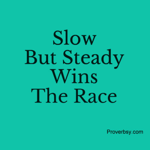 Slow But Steady Wins The Race Proverbsy
