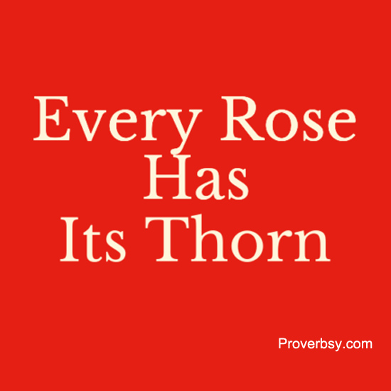 Rose Archives Proverbsy