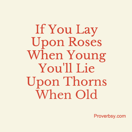 Rose Archives Proverbsy