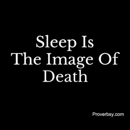 Sleep Is The Image Of Death Proverbsy