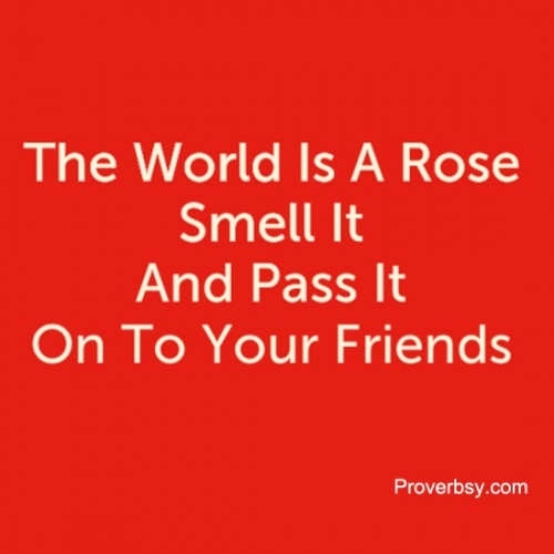 Rose Archives Proverbsy