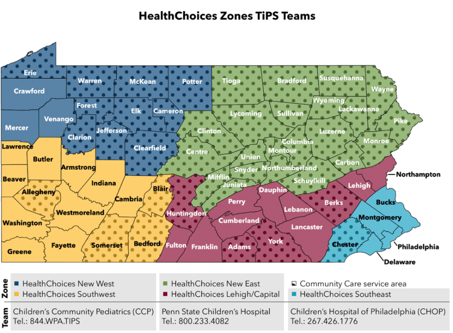 Pennsylvania's Telephonic Psychiatric Consultation Service Program