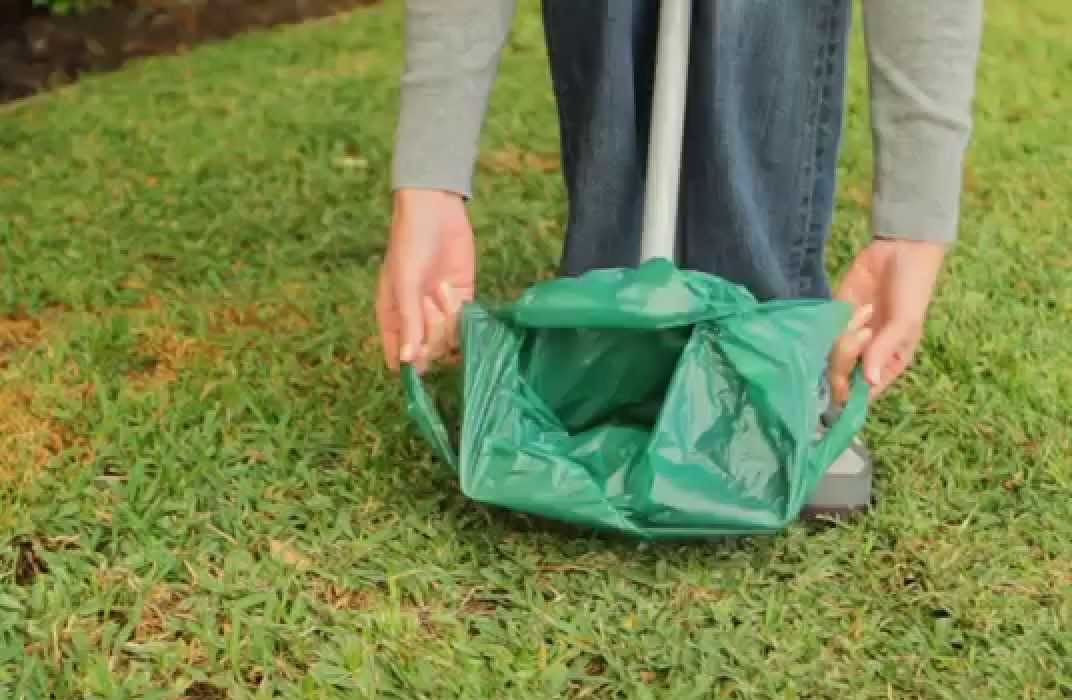 Book a Pet Waste Removal Service on Provingo