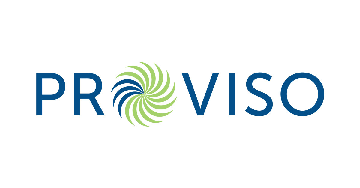 Risk Analyst Audit ProViso Consulting