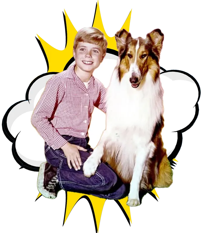 Provost Pets Is your Pet a Provost Pet?