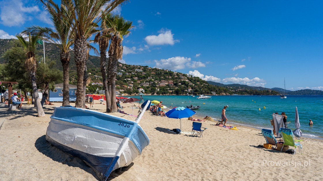 Hyères, BormeslesMimosas i Le Lavandou Prowansja.pl / Przewodnik