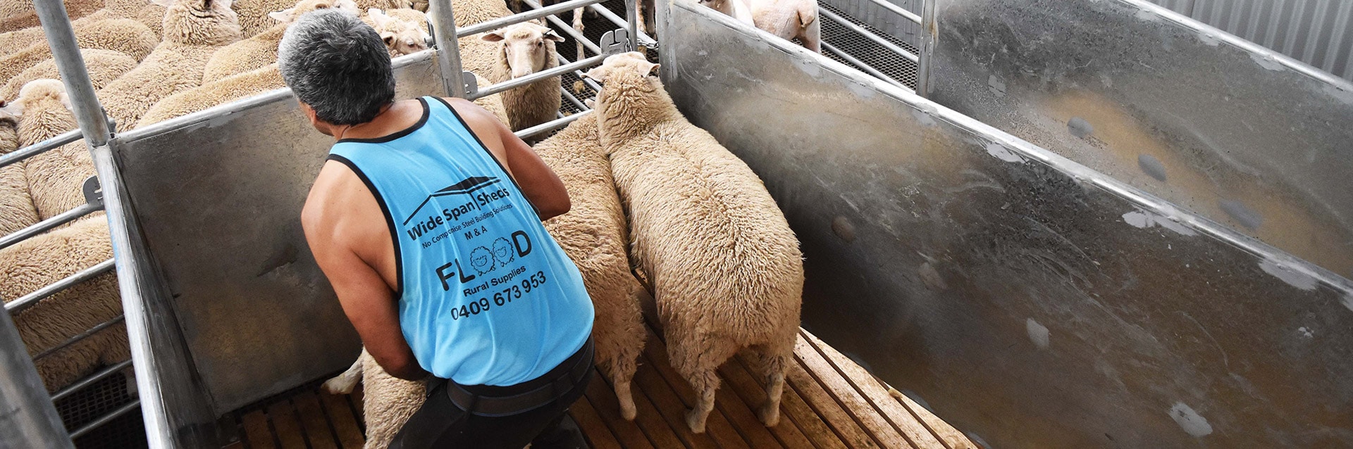 Shearing Shed Design Features ProWay