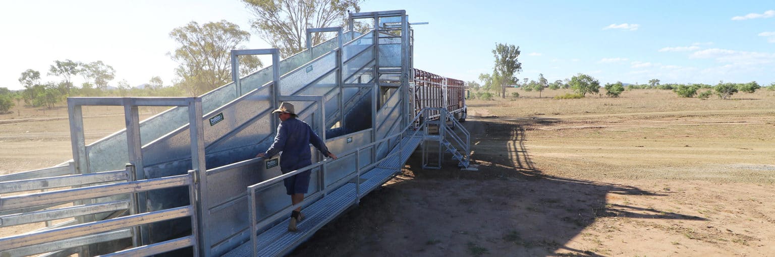 Sheep Loading Ramps Sheep Handling Facilities ProWay