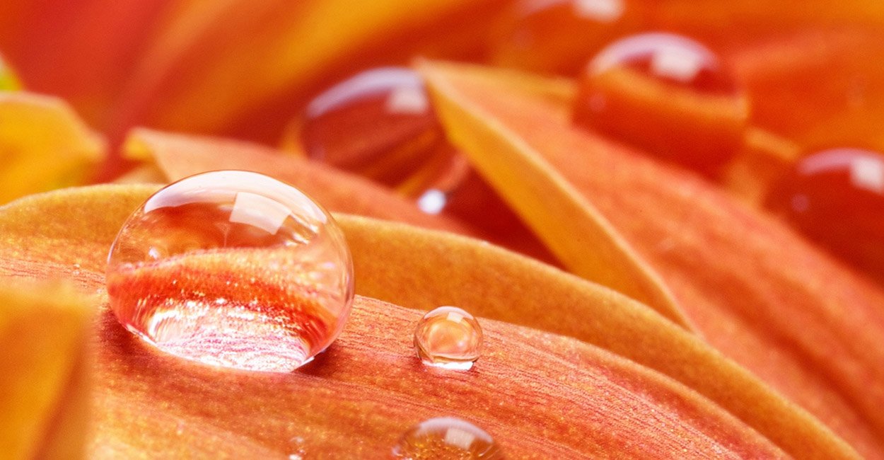 Website Design and Development Mauritius ProximaWeb