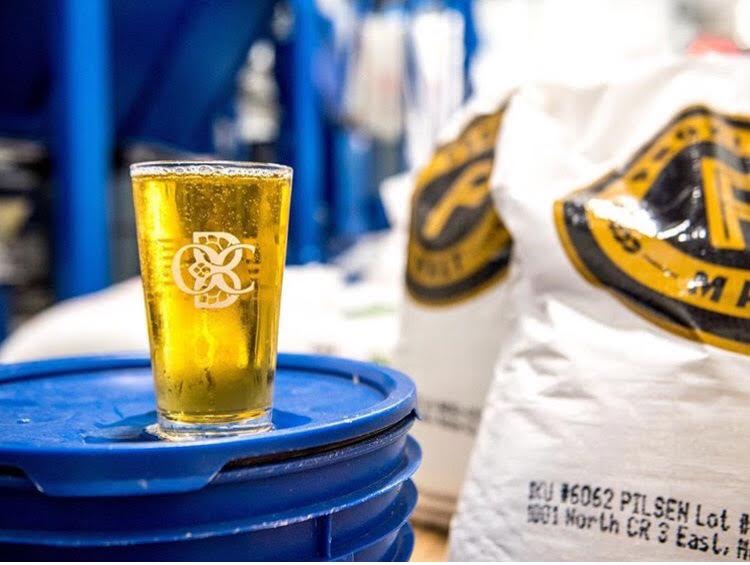 Proximity Malt’s Pilsen Project Proximity Malt