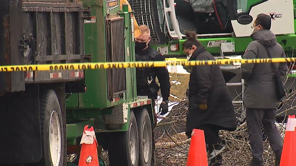 Ontario arborist dies due to wood chipper accident Arborist, Chainsaw