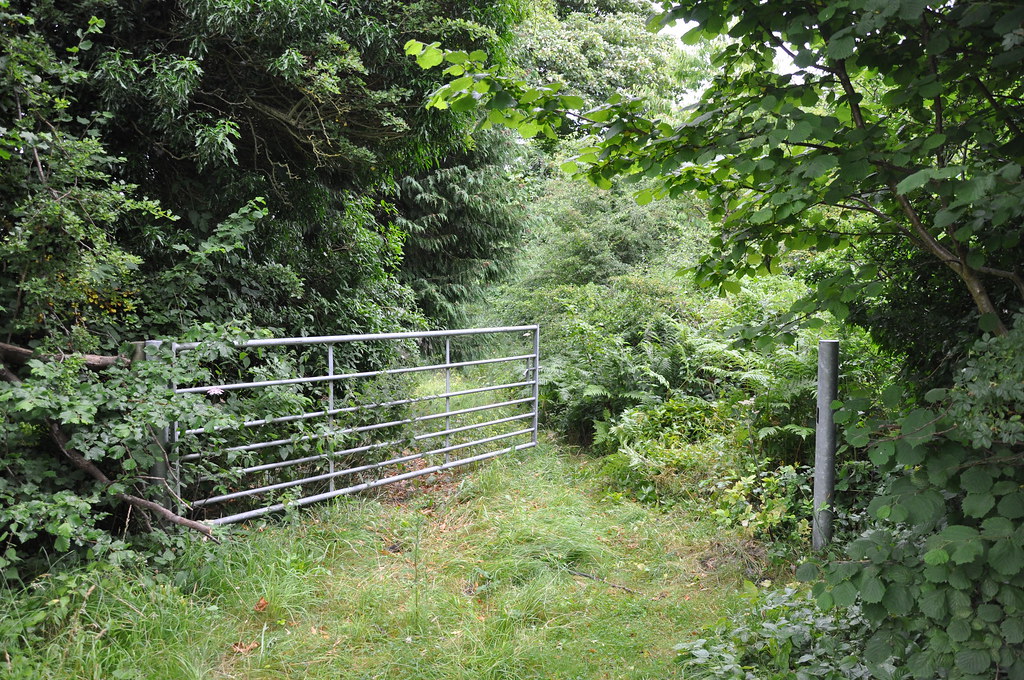 Derelict Houses, Flintshire, North Wales July 2010 Derelict Places