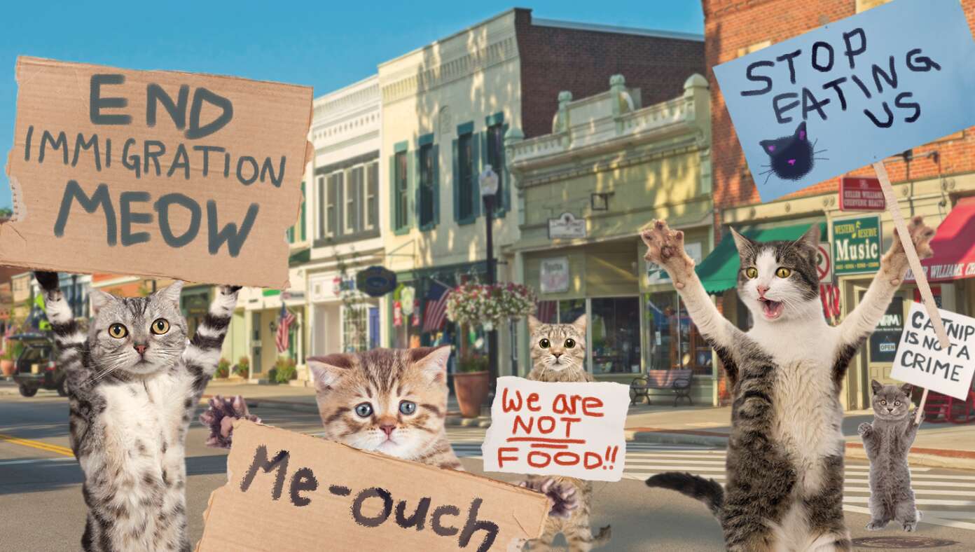 Ohio Cats Take To The Streets To Protest Immigration Oklahoma Shooters