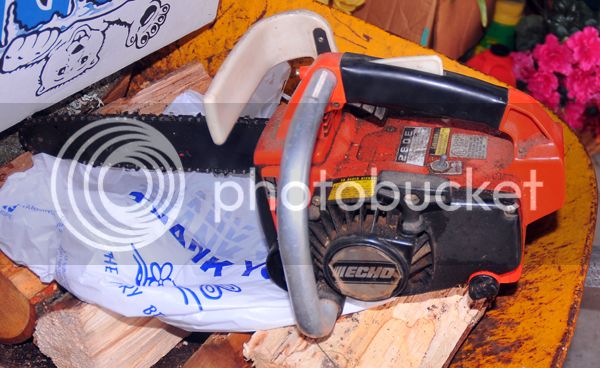 Echo 280E | Arborist, Chainsaw & Tree Work Forum