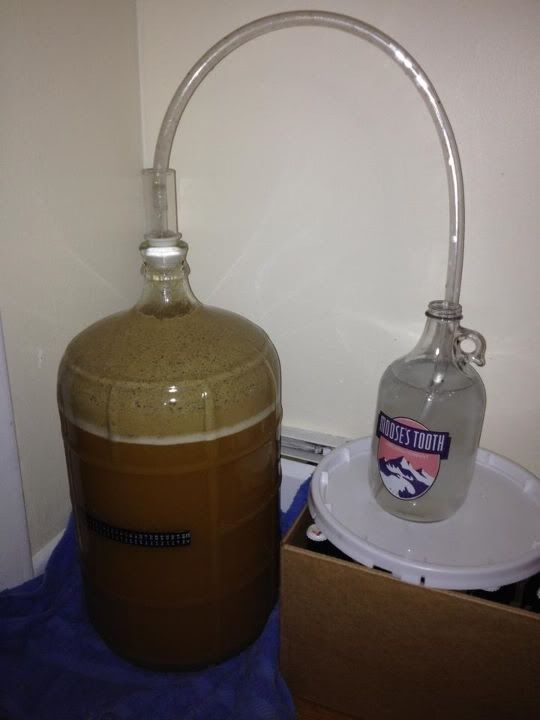 Bananas Foster Creamy Ale (All Grain) **pic intensive** Homebrew Talk