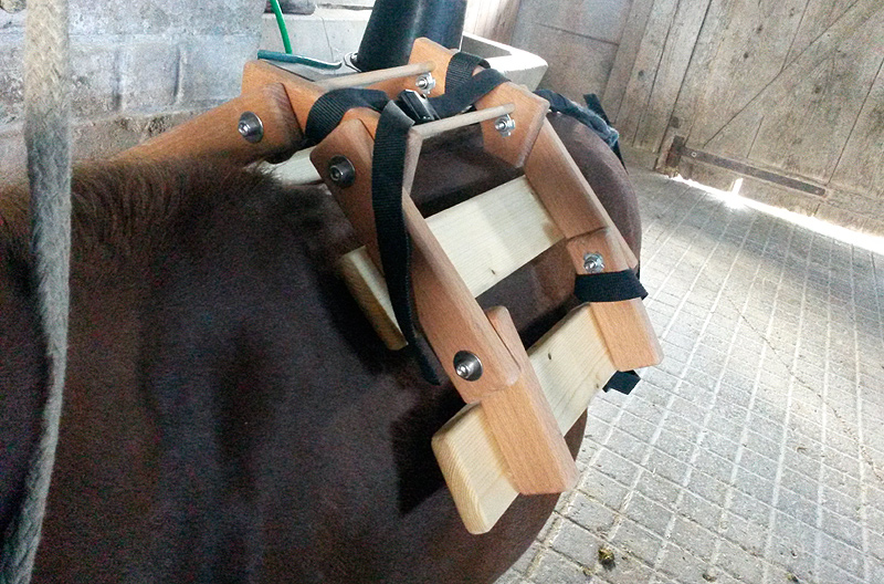 Selfmade Miniature Horse Pack Saddle Miniature Horse Talk Forums