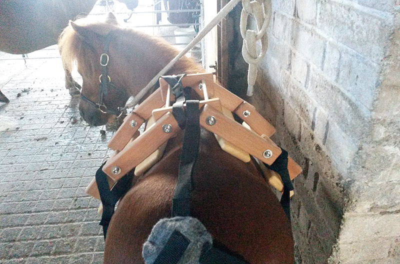 Selfmade Miniature Horse Pack Saddle Miniature Horse Talk Forums
