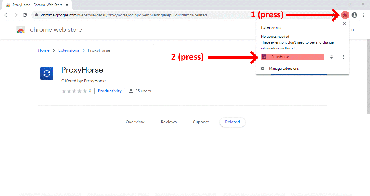Google Chrome Extension Guide Proxy Horse