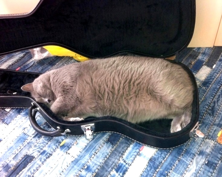 Был вечер поздний дрёмы полон... (Виктор Левашов) / Проза.ру