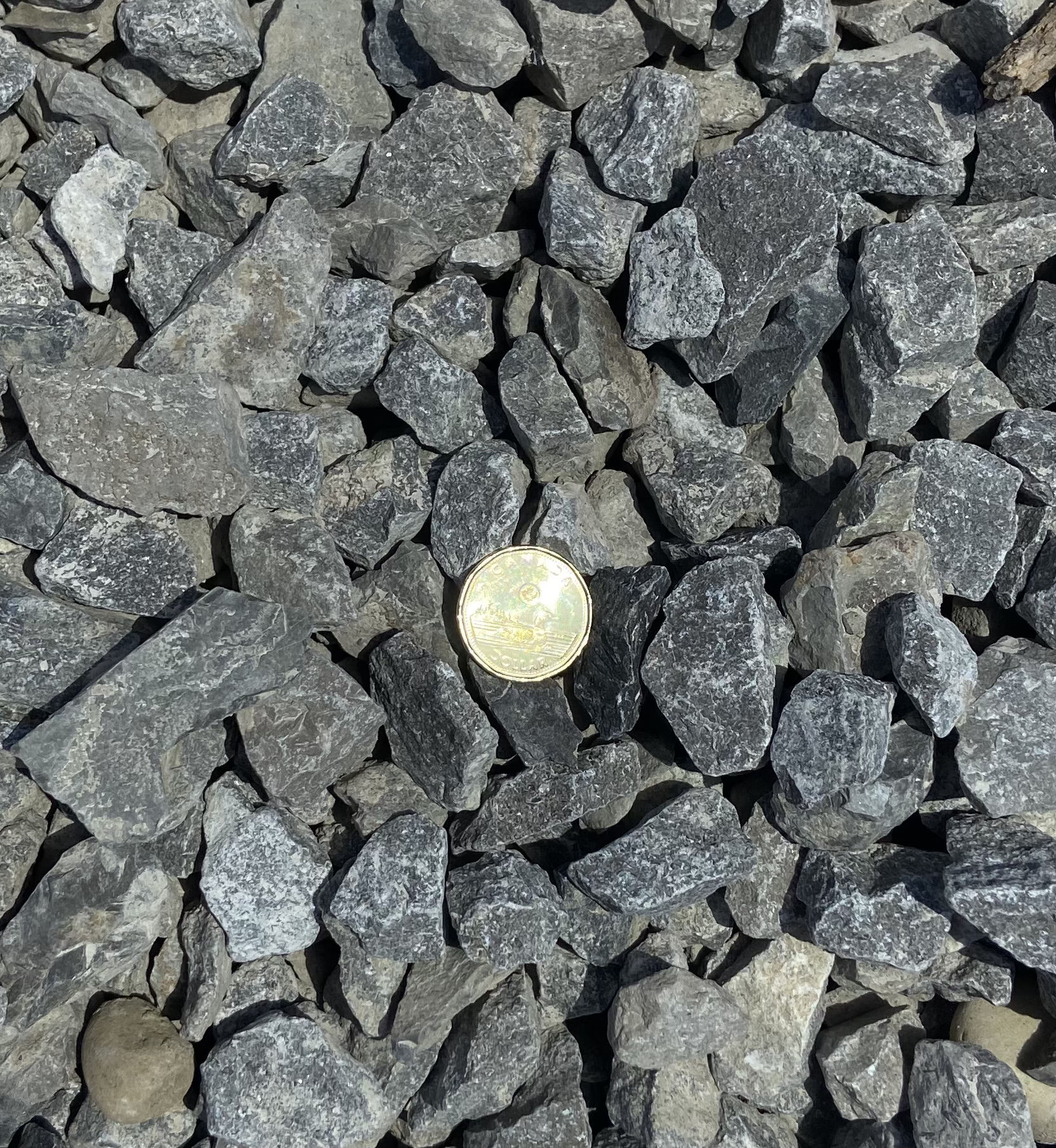 Limestone Rock (2030mm) ProZone Ltd.