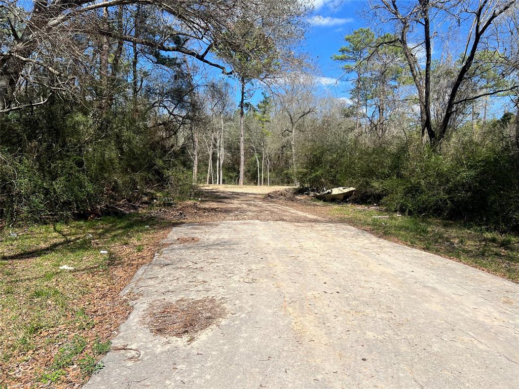 6815 Treefern Dr, HUMBLE, TX 77396