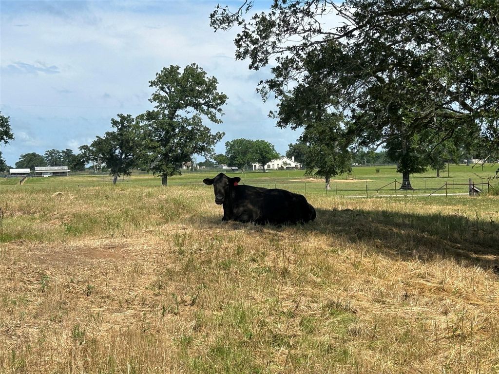 0 Wiggins Rd, HEMPSTEAD, TX 77445