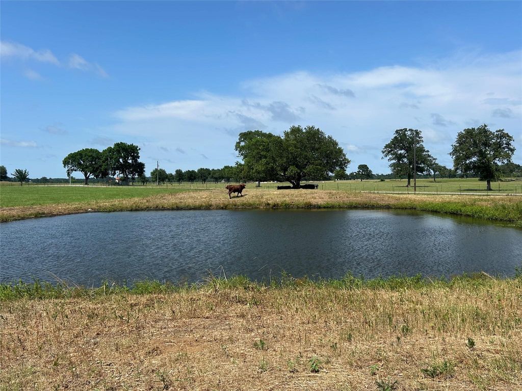 0 Wiggins Rd, HEMPSTEAD, TX 77445