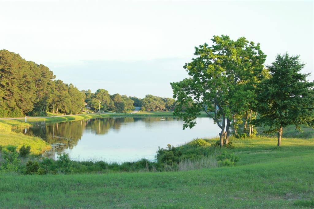 n/a Thoroughbred, HILLTOP LAKES, TX 77871