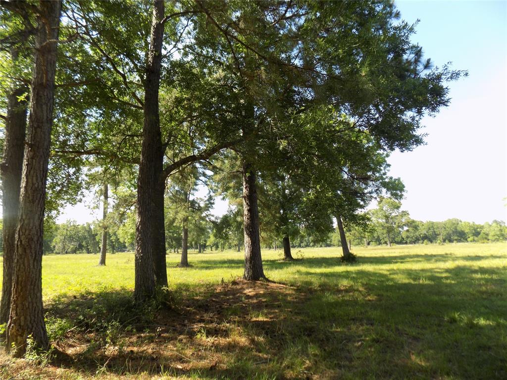 TBD FM 563 S, LIBERTY, TX 77575