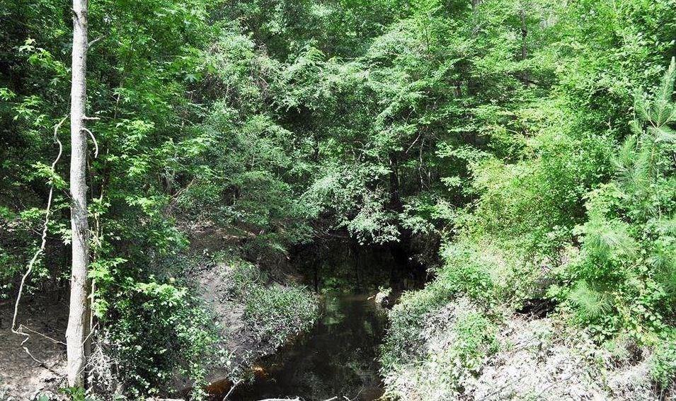 652 Fm 420, Kountze, TX 77625