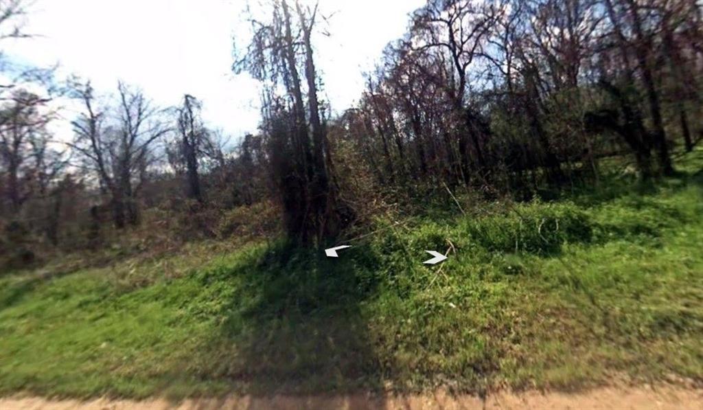 Lot 8 Big Tree, Dayton, TX 77535