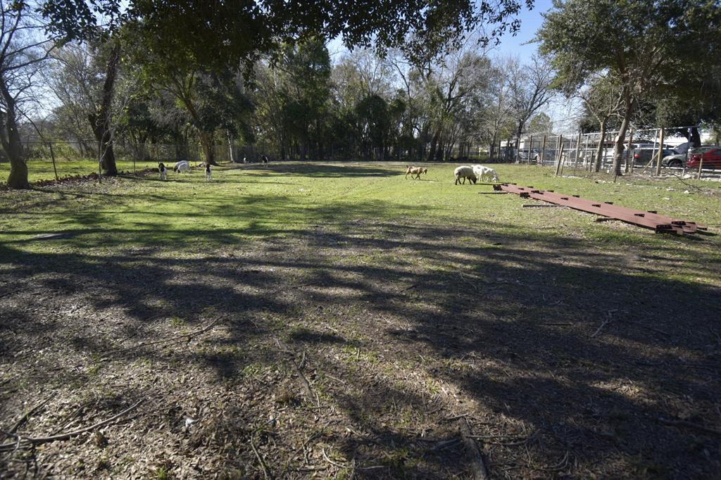 12402 Zavalla St, HOUSTON, TX 77085