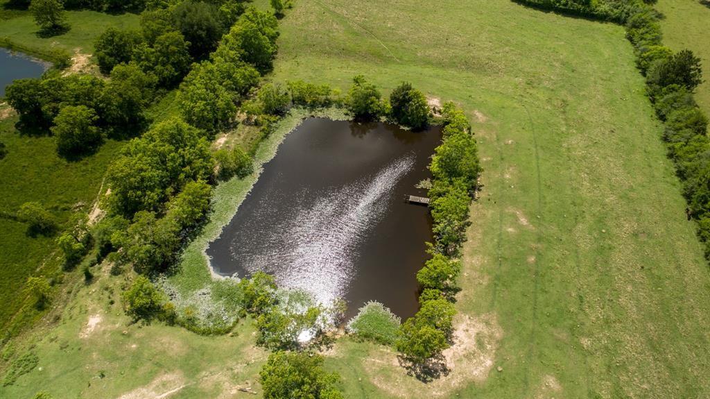 21547 Binford Rd, WALLER, TX 77484