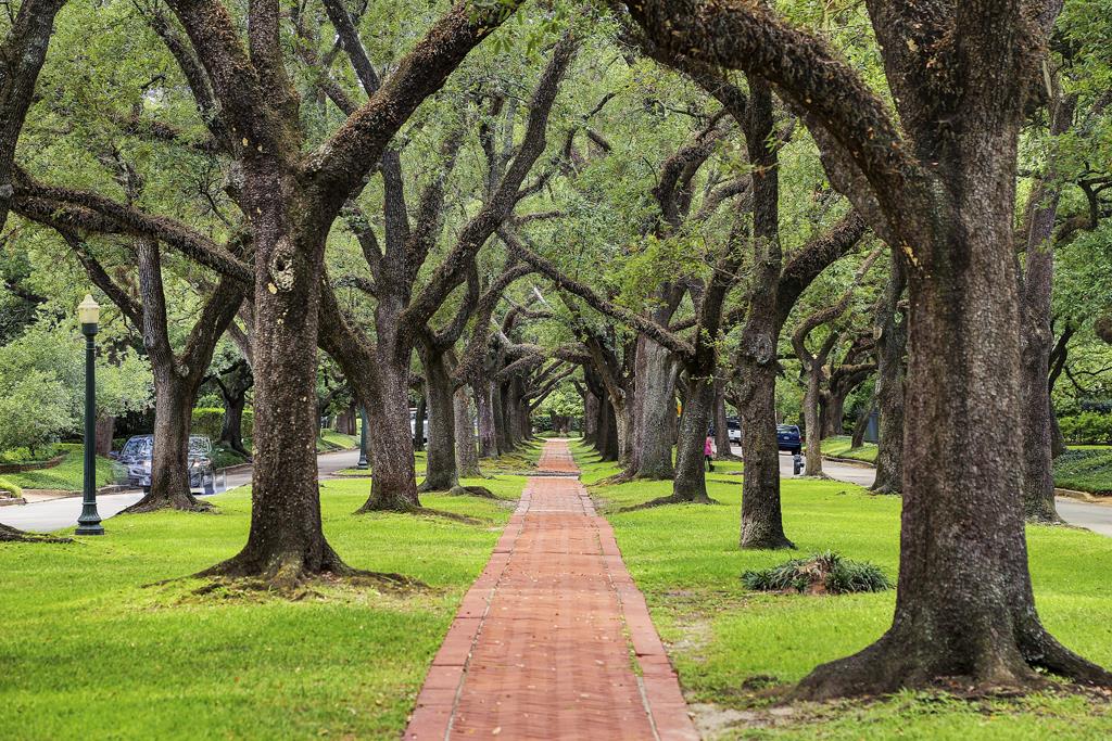 1318 North Blvd, HOUSTON, TX 77006