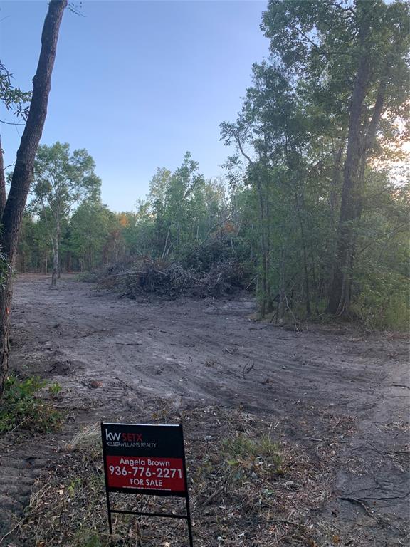 1067 County Road 137, LIBERTY, TX 77575