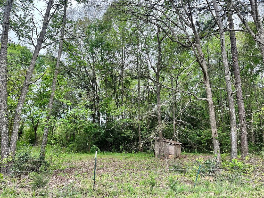 16597 Samuel Dr, NEW WAVERLY, TX 77358